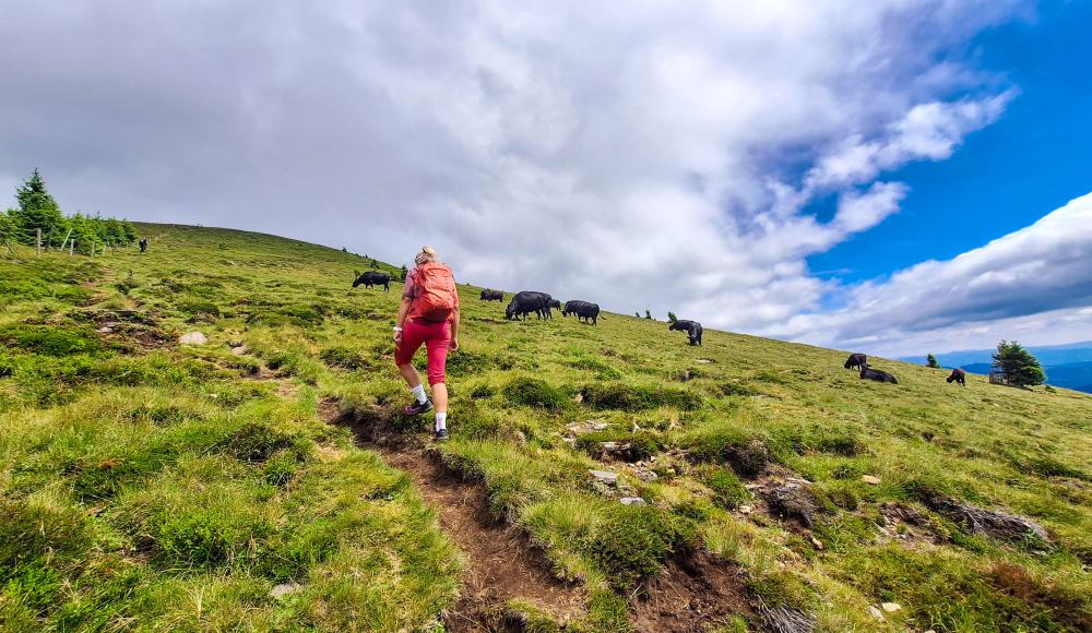 SPORTaktiv Ambassador Verena unterwegs: Bike & Hike-Abenteuer Gleinalm