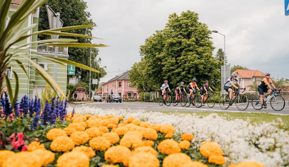 Mit dem Rennrad in den Urlaub? Zwischen Genuss und hartem Training