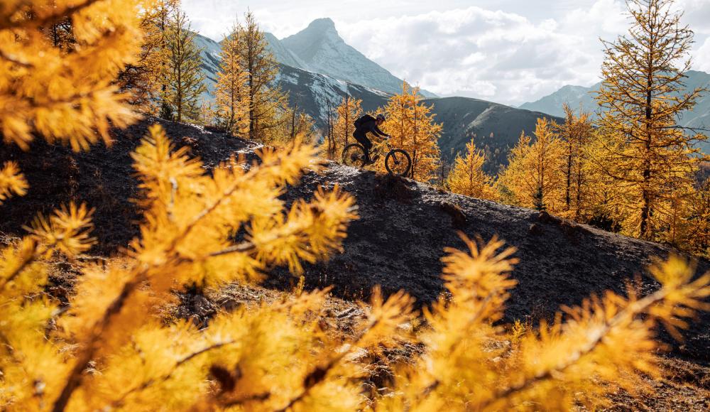 Feine Zeiten: Was moderne Mountain­bikes- und E-Mountain­bikes auszeichnet