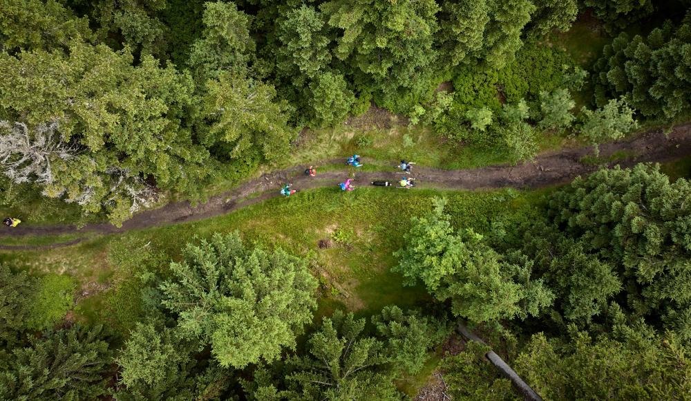 Über 300 Wanderer bei der „Herausforderung“