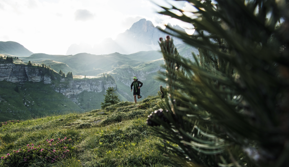 Schnelle Schritte auf schmalen Pfaden: Warum jeder Läufer und Naturliebhaber Trailrunning ausprobieren sollte