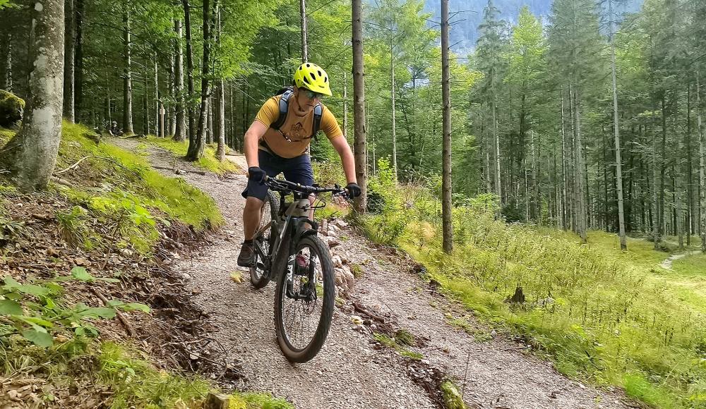 Neueröffnung der Austrian Sports Resort BSFZ Obertraun Trail Area: Ein kompaktes Highlight für Mountainbiker!