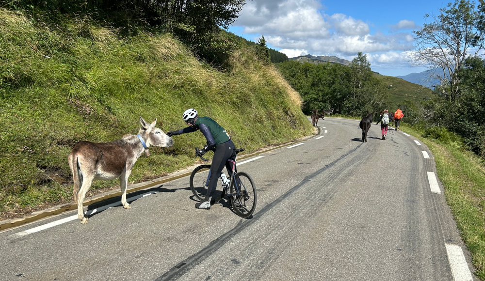 Pyrenäen-Durchquerung mit dem Rennrad