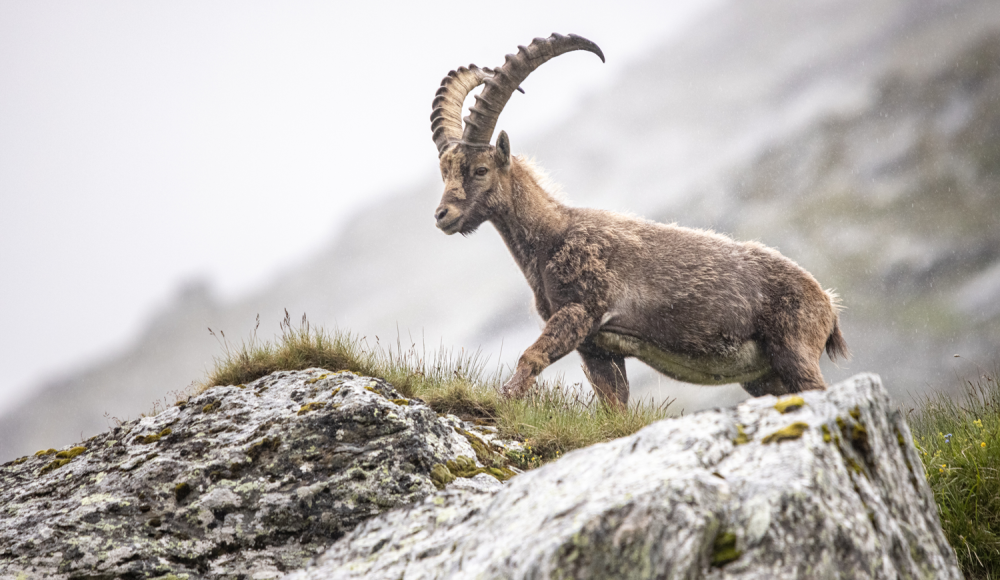 Gradonna: Das edelste Basecamp in den Alpen